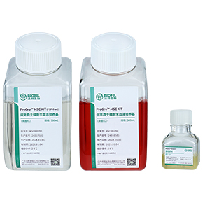 ProGro? MSC KIT間充質(zhì)干細(xì)胞無(wú)血清培養(yǎng)試劑盒