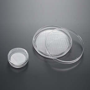 CellSCAFLD<sup>?</sup>3D細(xì)胞培養(yǎng)支架