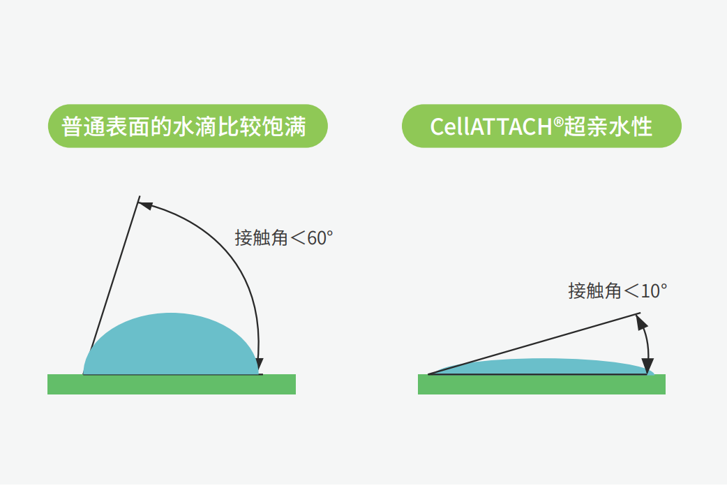 獨特的超親水表面處理技術(shù)，能為細胞提供更好的吸附性，促進細胞快速貼壁生長，提高產(chǎn)量