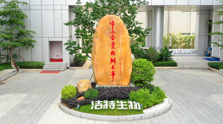 公司戰(zhàn)略